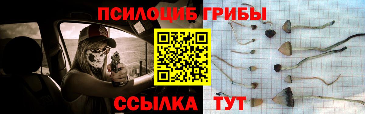 Галлюциногенные грибы Magic Shrooms  Вход с VPN  Иркутск 